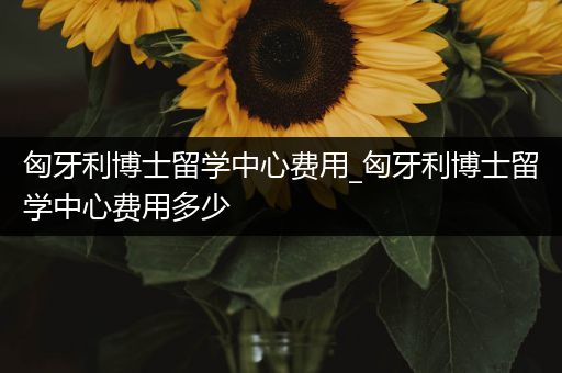匈牙利博士留学中心费用_匈牙利博士留学中心费用多少