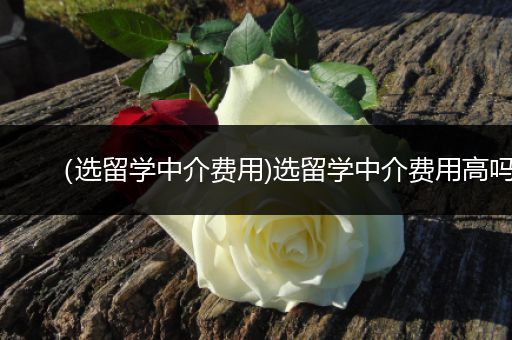 （选留学中介费用)选留学中介费用高吗