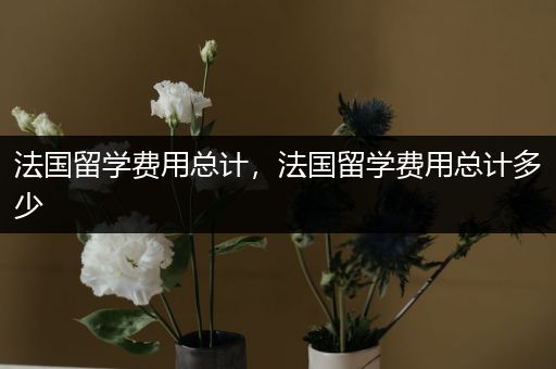法国留学费用总计，法国留学费用总计多少