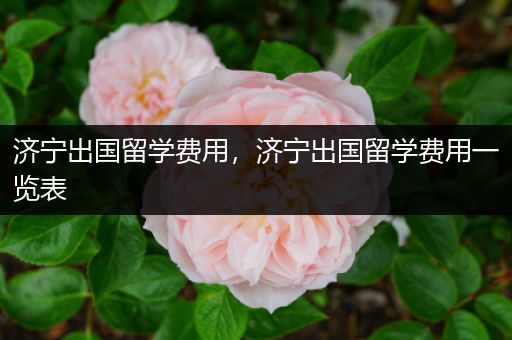 济宁出国留学费用，济宁出国留学费用一览表