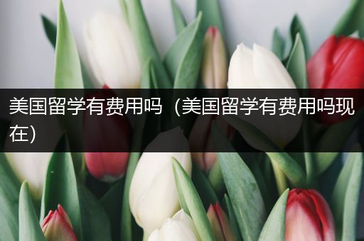 美国留学有费用吗（美国留学有费用吗现在）
