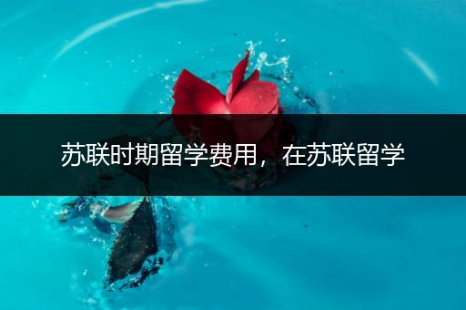 苏联时期留学费用，在苏联留学