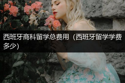 西班牙商科留学总费用（西班牙留学学费多少）