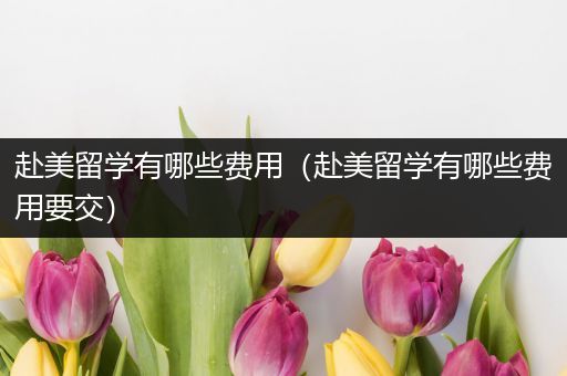 赴美留学有哪些费用（赴美留学有哪些费用要交）