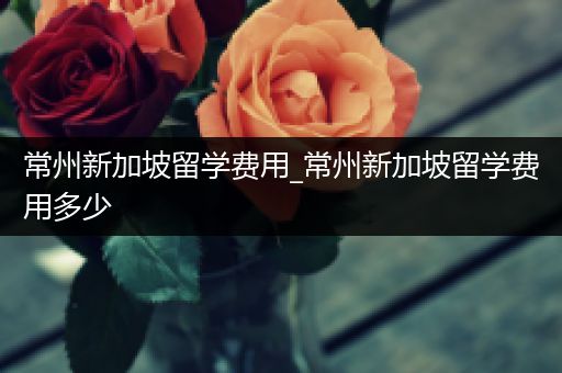 常州新加坡留学费用_常州新加坡留学费用多少