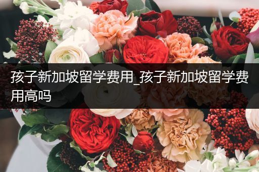 孩子新加坡留学费用_孩子新加坡留学费用高吗