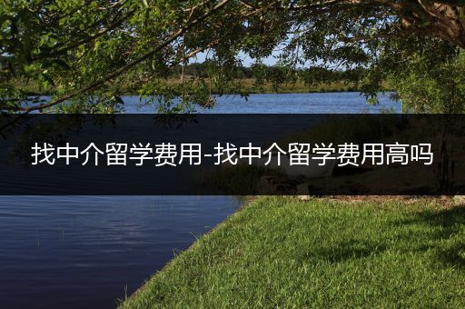 找中介留学费用-找中介留学费用高吗