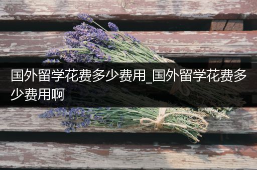 国外留学花费多少费用_国外留学花费多少费用啊