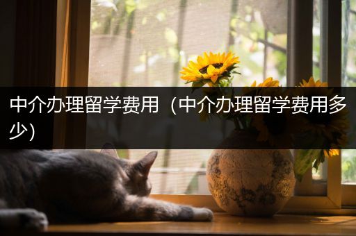 中介办理留学费用（中介办理留学费用多少）