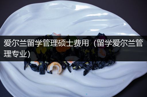 爱尔兰留学管理硕士费用（留学爱尔兰管理专业）