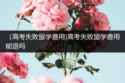 （高考失败留学费用)高考失败留学费用能退吗