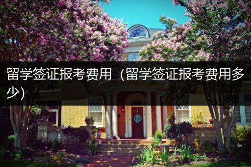 留学签证报考费用（留学签证报考费用多少）