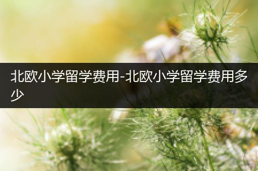 北欧小学留学费用-北欧小学留学费用多少