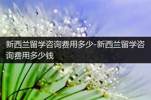 新西兰留学咨询费用多少-新西兰留学咨询费用多少钱