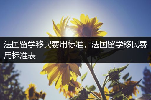 法国留学移民费用标准，法国留学移民费用标准表