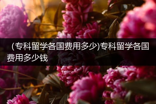 （专科留学各国费用多少)专科留学各国费用多少钱