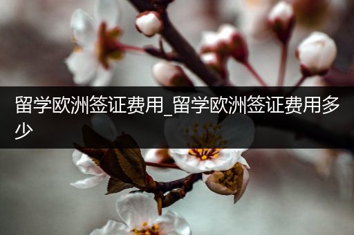 留学欧洲签证费用_留学欧洲签证费用多少