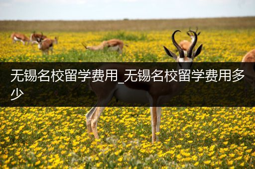 无锡名校留学费用_无锡名校留学费用多少