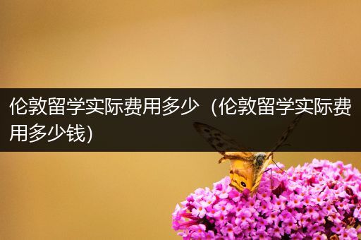 伦敦留学实际费用多少（伦敦留学实际费用多少钱）