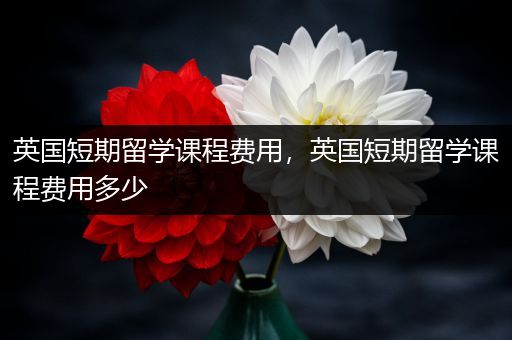 英国短期留学课程费用，英国短期留学课程费用多少