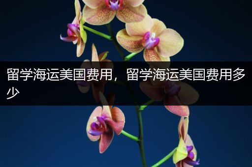留学海运美国费用，留学海运美国费用多少