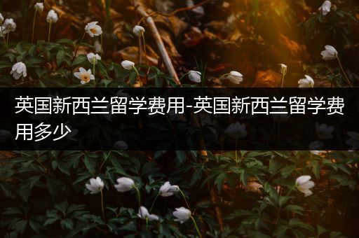 英国新西兰留学费用-英国新西兰留学费用多少