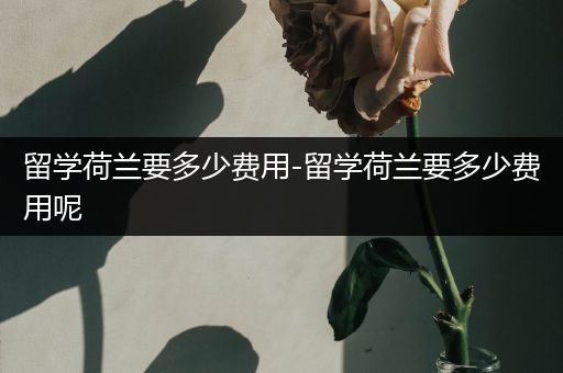 留学荷兰要多少费用-留学荷兰要多少费用呢