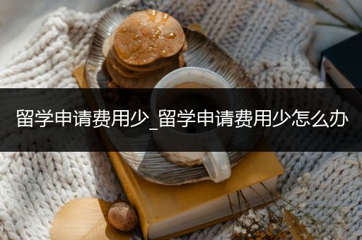 留学申请费用少_留学申请费用少怎么办