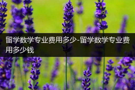 留学数学专业费用多少-留学数学专业费用多少钱