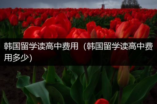 韩国留学读高中费用（韩国留学读高中费用多少）