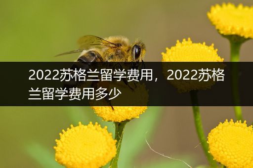 2022苏格兰留学费用，2022苏格兰留学费用多少