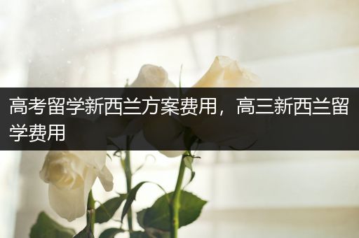 高考留学新西兰方案费用，高三新西兰留学费用