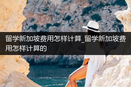 留学新加坡费用怎样计算_留学新加坡费用怎样计算的