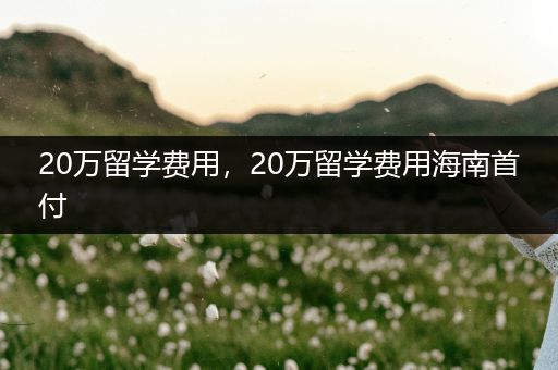 20万留学费用，20万留学费用海南首付