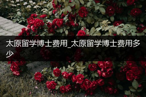 太原留学博士费用_太原留学博士费用多少