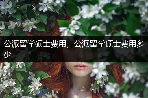 公派留学硕士费用，公派留学硕士费用多少