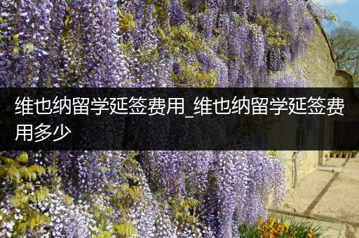 维也纳留学延签费用_维也纳留学延签费用多少