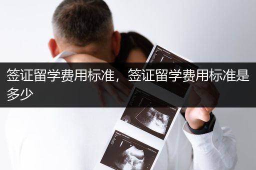 签证留学费用标准，签证留学费用标准是多少
