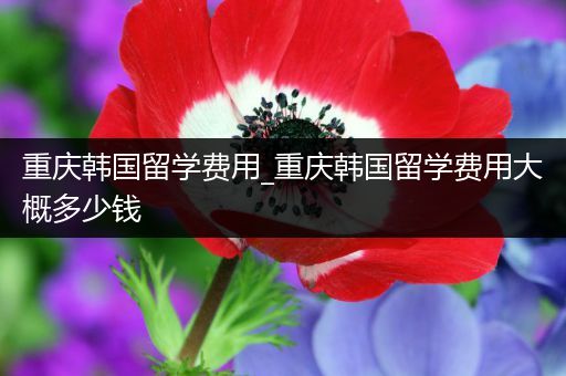 重庆韩国留学费用_重庆韩国留学费用大概多少钱