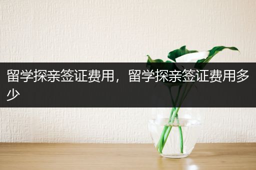 留学探亲签证费用，留学探亲签证费用多少
