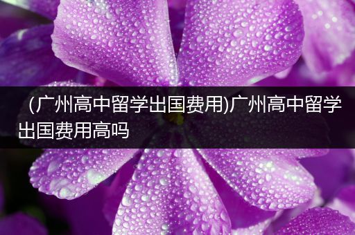（广州高中留学出国费用)广州高中留学出国费用高吗