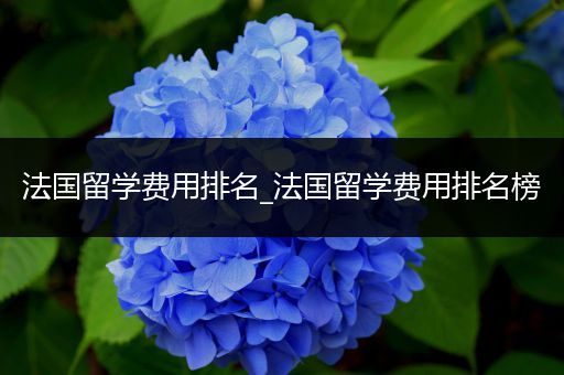 法国留学费用排名_法国留学费用排名榜