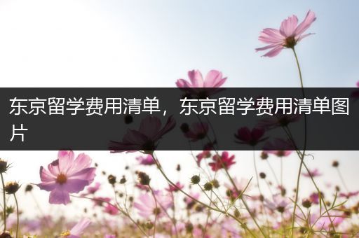 东京留学费用清单，东京留学费用清单图片