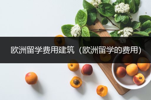 欧洲留学费用建筑（欧洲留学的费用）