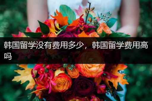 韩国留学没有费用多少，韩国留学费用高吗