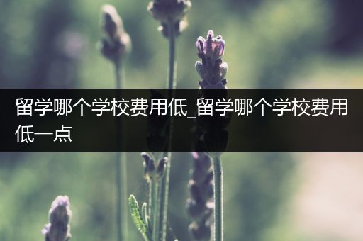 留学哪个学校费用低_留学哪个学校费用低一点