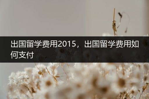 出国留学费用2015，出国留学费用如何支付