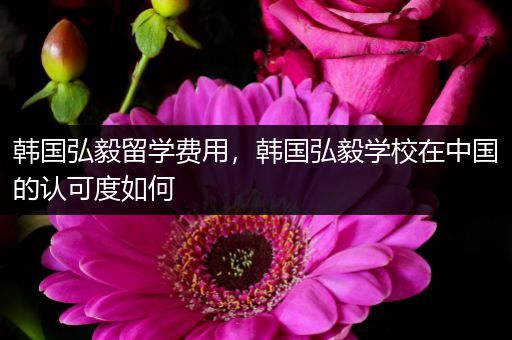 韩国弘毅留学费用，韩国弘毅学校在中国的认可度如何