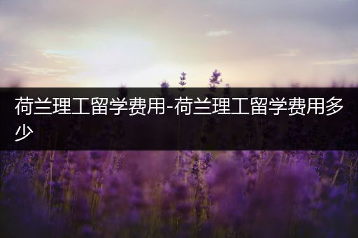 荷兰理工留学费用-荷兰理工留学费用多少