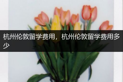 杭州伦敦留学费用，杭州伦敦留学费用多少